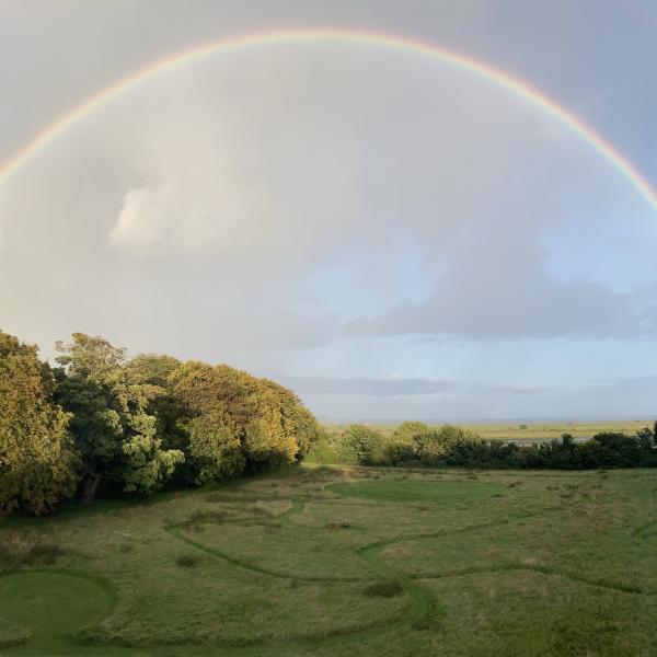 Labyrinth Rainbow