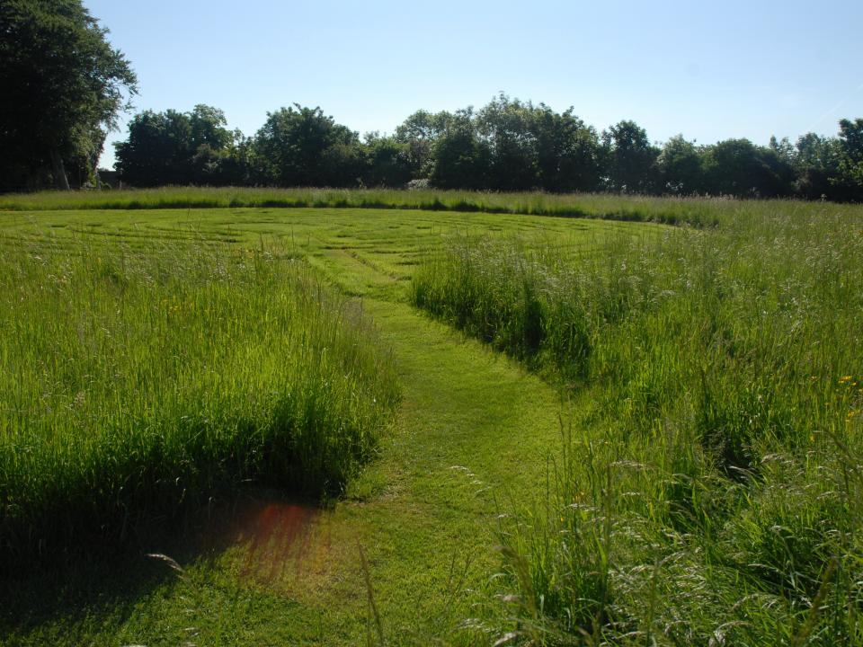 Labyrinth in meadow