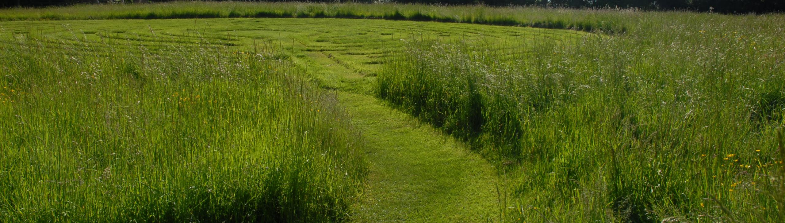 Labyrinth in meadow