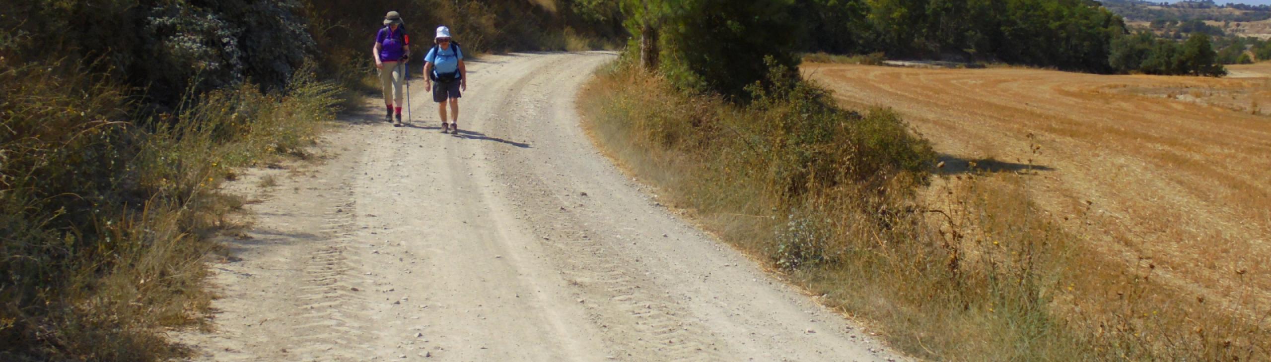 On the Ignatian Camino
