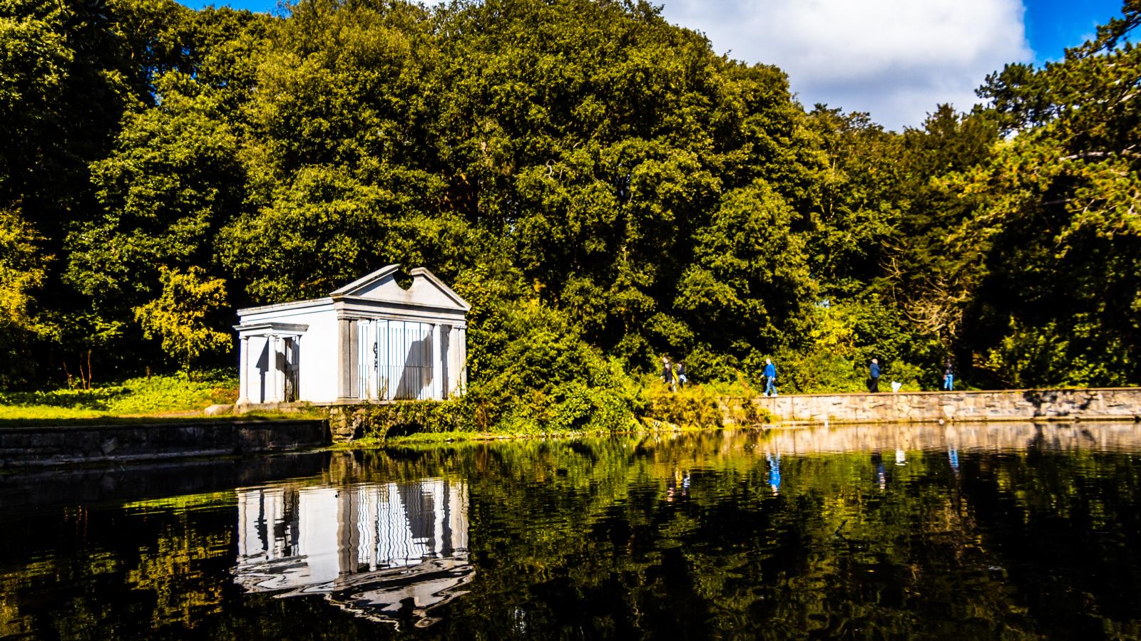 St Anne's Park (Photo by Fabrício Severo on Unsplash)